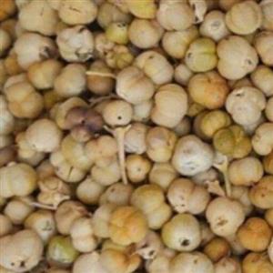 اتخم اسپند مخصوص دود کردن 
