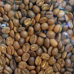 دان قهوه برزیل عربیکا گرید  A تازه رست  بسته یک کیلویی 