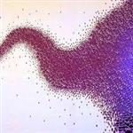 نمونه کد الگوریتم بهینه سازی ازدحام ذرات در متلب- Particle Swarm Optimization in MATLAB