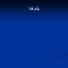 پاورپوینت یادگیری و کنترل حرکتی