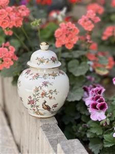 كندي ققنوس ١٨ سانت