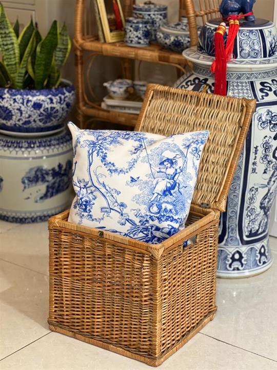 کاور کوسن پرنسس