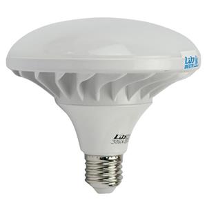 لامپ LED دلتا Delta Royal E27 30W 