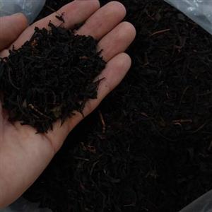 چای بهاره شمال زرین 500 گرمی محصول رودسر  1402