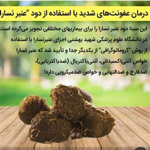 عنبرنسارای الاغ ماده بصورت کاملا خشک در بسته بندی(10 عددی)کاملا سالم و تضمینی تولید 1402