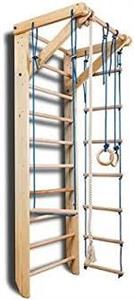 نردبان حرفه ای