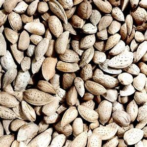 بادام درختی اعلا