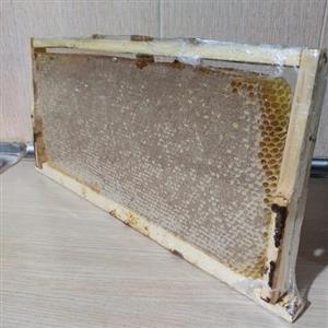 عسل شان با موم طبیعی 1کیلویی