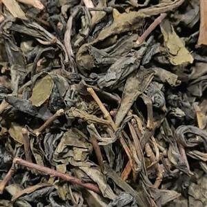 چای سبز ایرانی (چای سبز شکسته) لاهیجان یک کیلویی عطاری دستانی