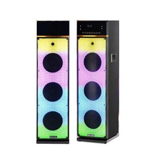اسپیکر حرفه ای مکسیدر Maxeeder | مدل CN625 | با میکروفن