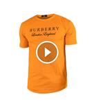 تیشرت مردانه یقه گردBurberry مدل 38197