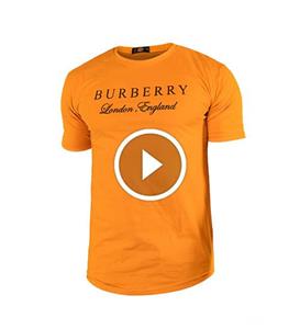 تیشرت مردانه یقه گردBurberry مدل 38197