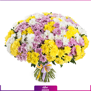 دسته گل داوودی رنگارنگ