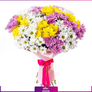 دسته گل داوودی سه رنگ