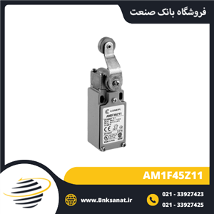 میکروسوئیچ کامپی ایتالیا ( COMEPI ) مدل AM1F45Z11
