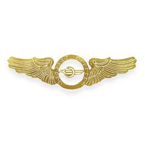 وینگ سینه CAO Wings