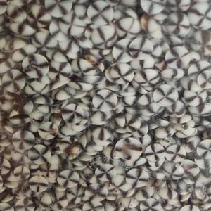 ترافل چیپسی دورنگ سفید-کاکائویی (100 گرم)