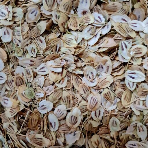 برگ گلپر فله ای