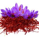 Golestan Saffaron 4.608gr