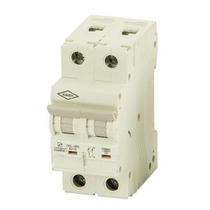 کلید مینیاتوری 16 آمپر تک فاز و نول AC الکترو کاوه کد 16A-10KA-2P