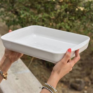 دیس مرغ خوری