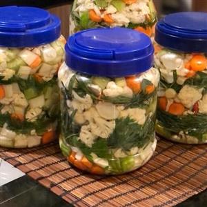 کلم شور خانگی،شور خانگی