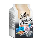 مولتی پک پوچ گربه شبا با طعم ماهی سالمون و تن Sheba pouch fresh and fine