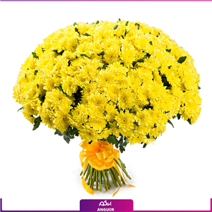 دسته گل داوودی زرد (150 عددی)