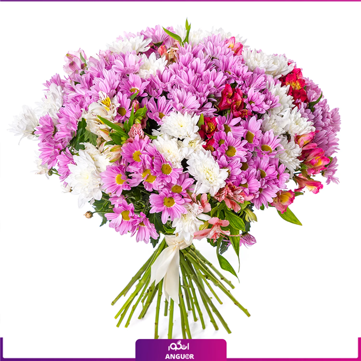 قیمت و خرید دسته گل داوودی و آلستر