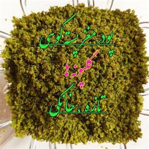 پودر  پسته کوهی ( تزئین کیک، شیرینی، دسر، بستنی، تقویت غذای کودک) پودر بنه گلپونه ها (100 گرمی)