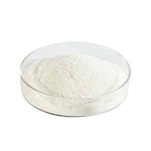 پودر کلسیم سولفات خوراکی