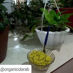 کشک پوستی محلی تازه