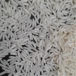 برنج بذر شیرود کاشت فریدونکنار  در کیسه های 10 کیلوگرمی سورت شده با عطر و طعم دلپذیر