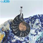 گردنبند فسیل آمونیت fossil ammonite کد  ir 289