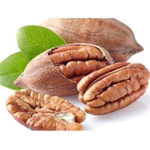 نهال گردو پکان آمریکایی