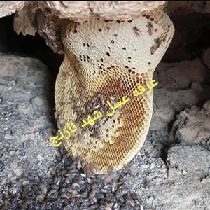عسل صخره ای کوهی کوهستان نیم کیلویی