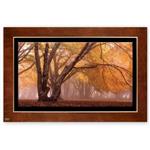 تابلو نقاشی پاییز زیبا (BEAUTIFUL FALL) کد FWB-120X80-N 