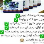 پودر جلبک وبلوبری