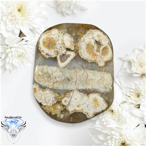 نگین عقیق سلطانی مصور وشجردار بینظیر