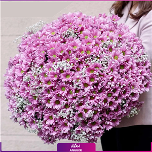 دسته گل صورتی ترکیبی ( داوودی – گل عروس )