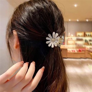 مینی کلیپس بابونه