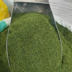 شوید خشک 500 گرم 