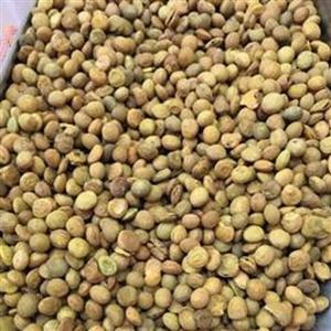 عدس بوداده کم نمک 500گرم ( عدس محلی ایرانی)