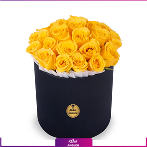 باکس گل رز زرد 25 شاخه
