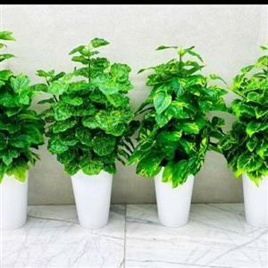 درختچه-گل مصنوعی استوانه بسیار شیک