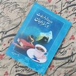 کتاب وارونه ها و خرافات در آخرالزمان نوشته ابوالفضل سبزی انتشارات آفتاب شرق