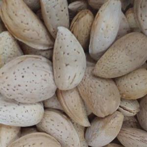بادام درختی پرمغز شیرین دست پوست مغزهای ترد درجه یک بادام درختی ملایر طعم  عالی