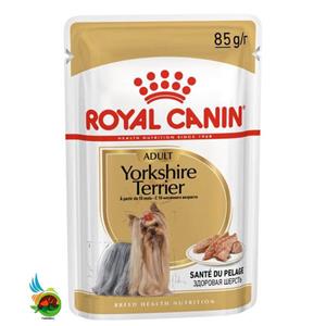 پوچ سگ نژاد یورکشایر تریر رویال کنین مدل Royal Canin Yorkshire Terrier وزن ۸۵ گرم