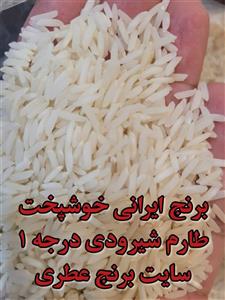 برنج ایرانی خوشپخت طارم شیرودی تضمین اصل، بدون قاطی، 10 کیلویی
