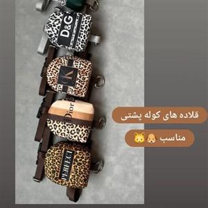 قلاده کوله پشتی دار  مخصوص سگ و گربه